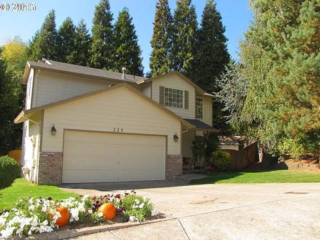 225 NW 8th Ct photo 1