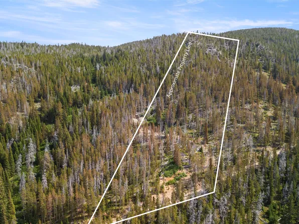 Nhn Peerless Jennie Xrds, Helena, MT 59601