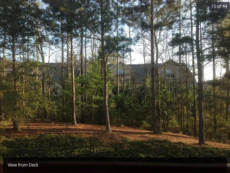 3423 Lathenview Ct — Photo 15