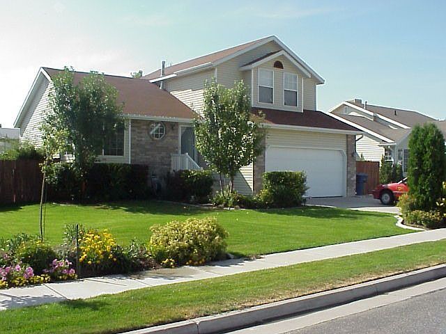 Front yard