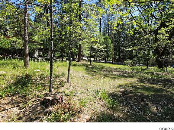 4th image of 3034 Forest Ln