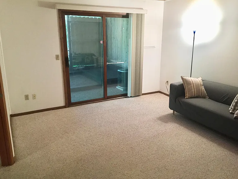 Lower level family room.