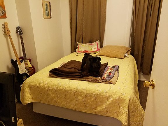 Back bedroom and Luna (the dog)