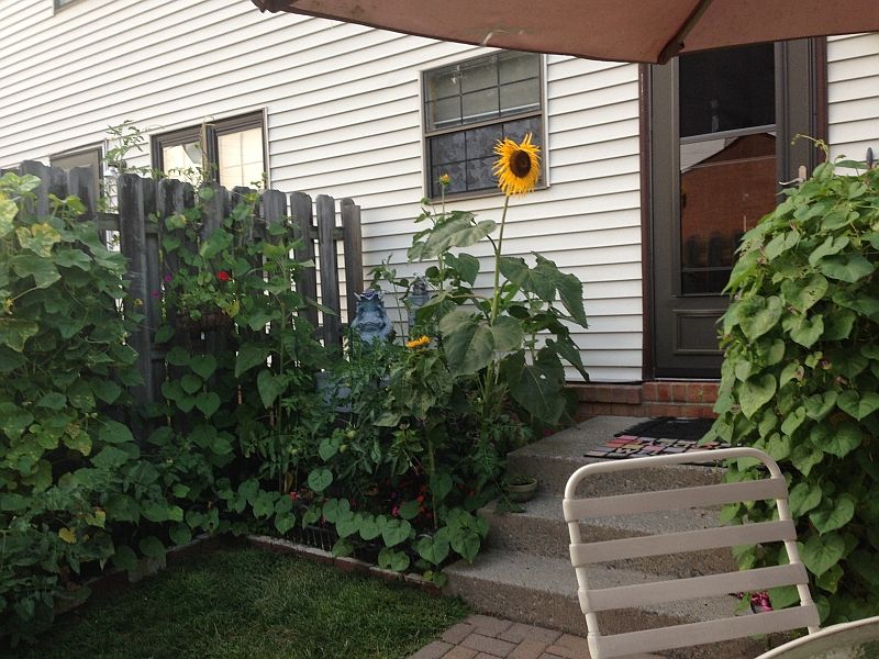 2nd image of 139 Cynthia Dr