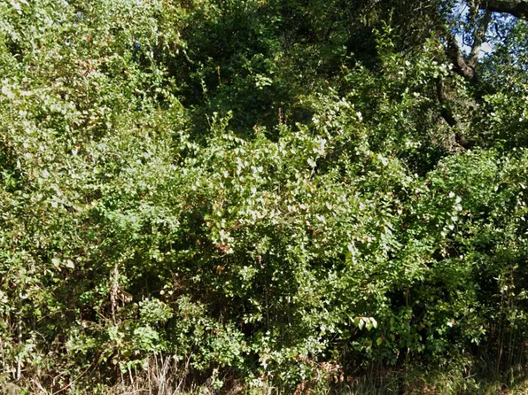 Millcreek Dr, Gautier, MS 39553