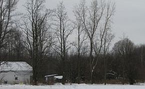 2nd image of 392 Swanton Rd