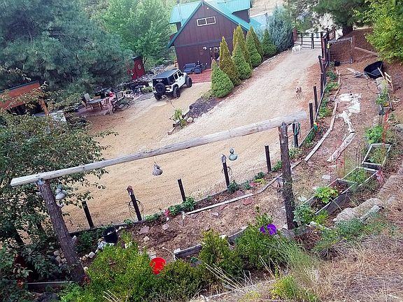 Garden from upper lot