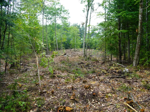 89 Chapman Road, Harrison, ME 04040