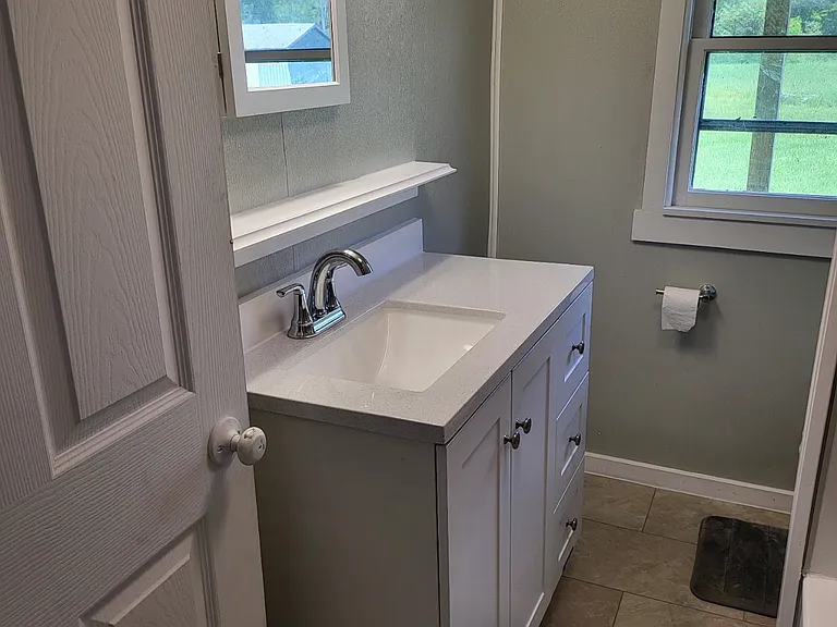 New bathroom sink
