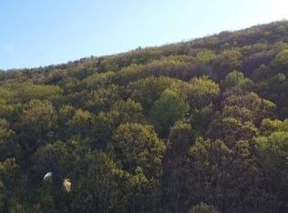 172 Trailwood Dr, Ellijay, GA 30540