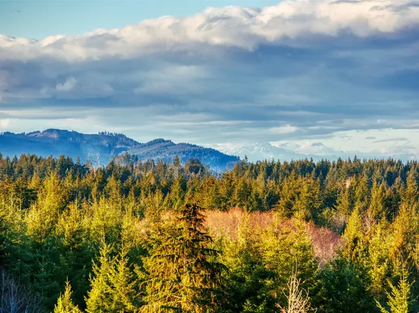 14010 Quiet Waters Lane SW, Rochester, WA 98579