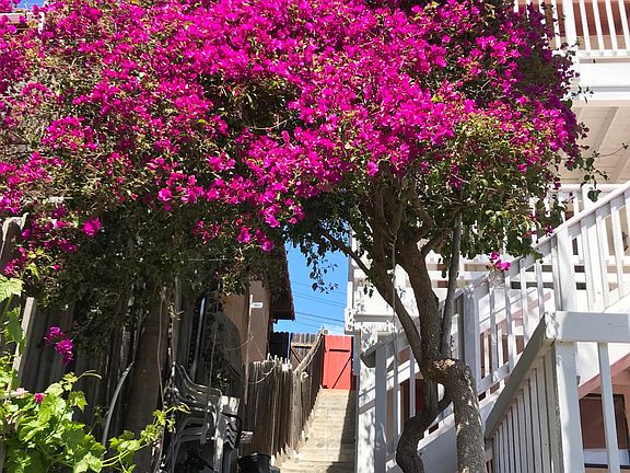 25+ Stairs from bottom