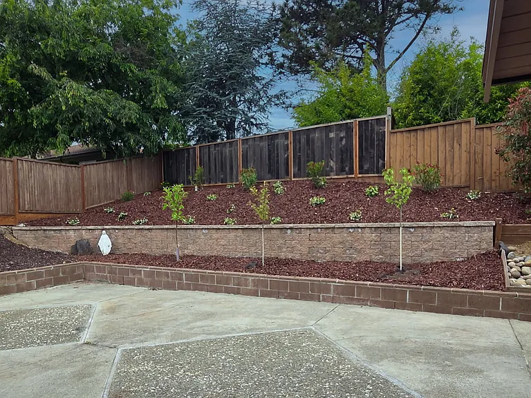 Newly Landscaped Backyard