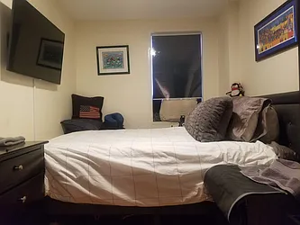 Rented by Dorit Avidar, LREB