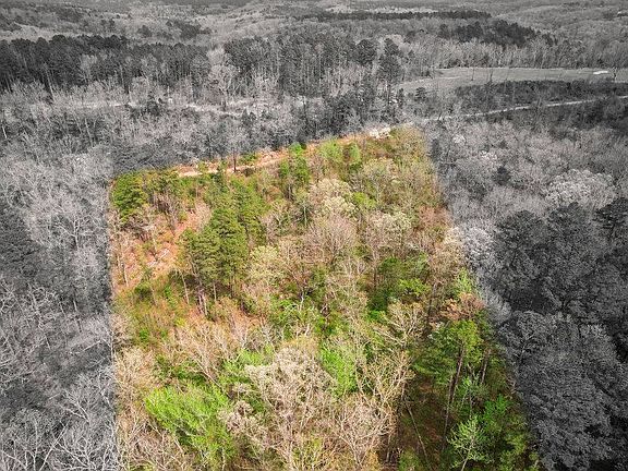 2nd image of 16500 Camp Newell Rd