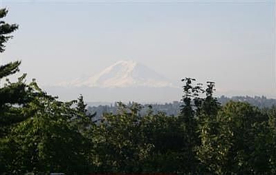 View Of Mt Rainier