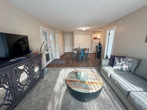 Carpeting Living Room with Natural Light
