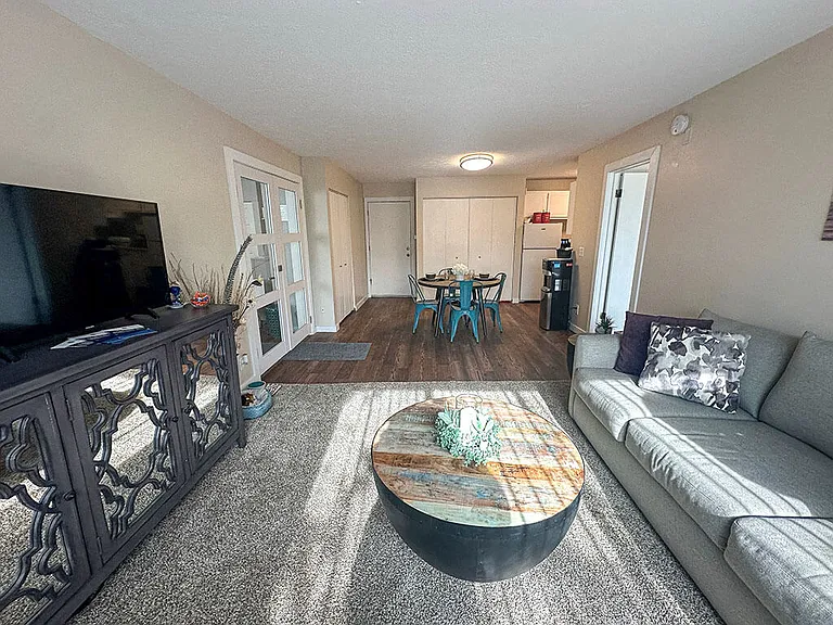 Carpeting Living Room with Natural Light