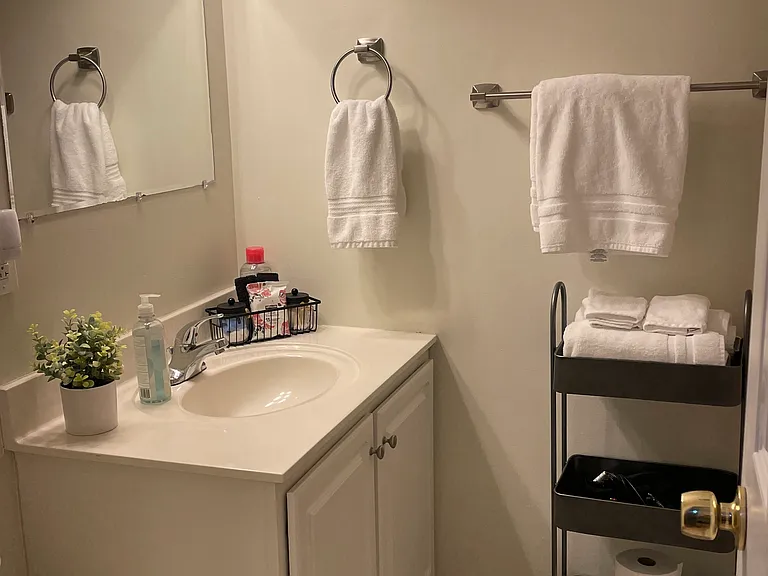 Lower Level Full Bathroom