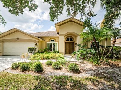 9229 Dayflower Dr, Tampa, FL, 33647
