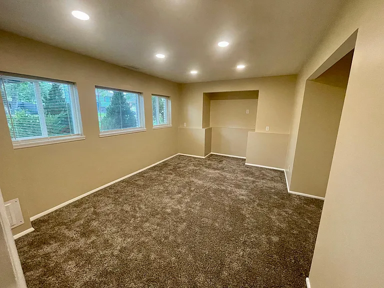 Basement family room, bedroom or TV room.