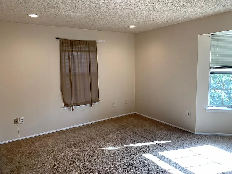 225 Rachel Ct #4203 — Photo 15