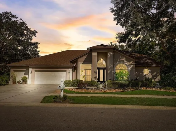 21323 PRESERVATION DRIVE, LAND O LAKES, FL 34638