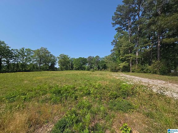3rd image of 10997 Vance Blocton Rd
