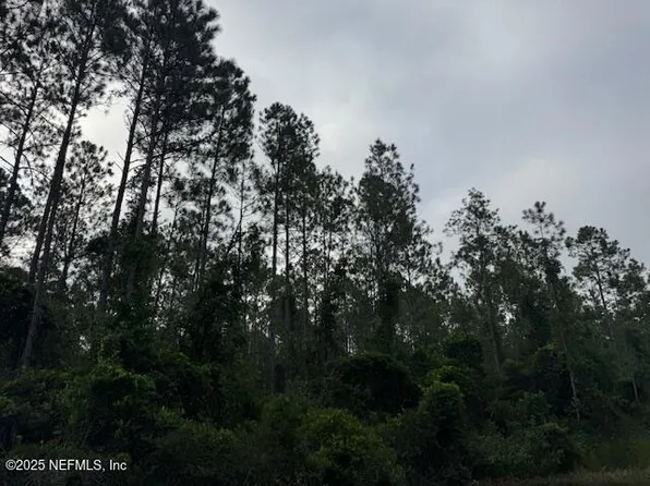 0 BAYLOR Avenue, Hastings, FL 32145