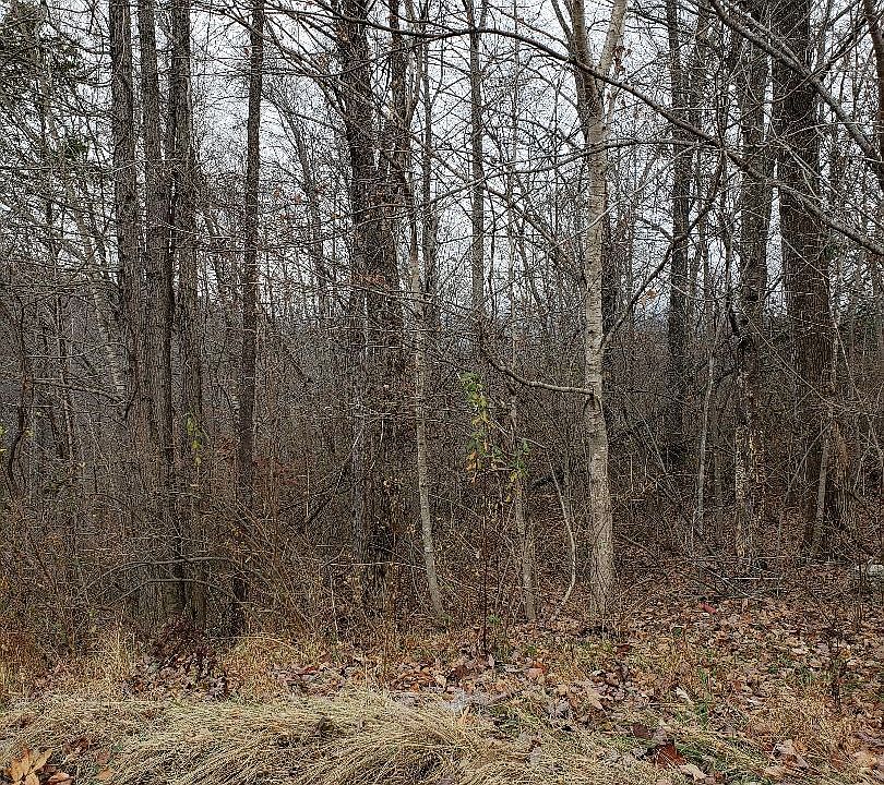 1st image of Regatta Dr