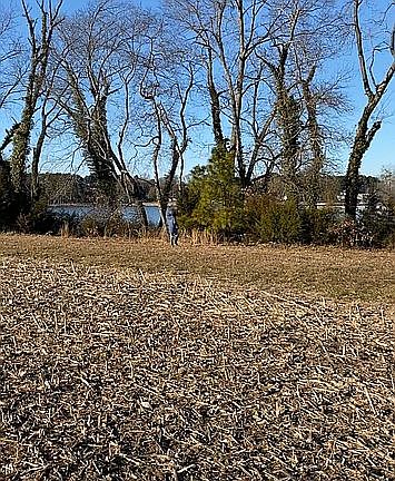 4th image of 0 Nursery Rd