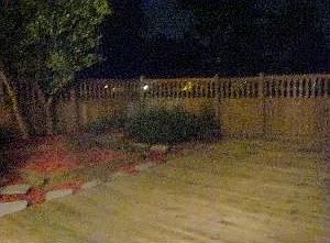 5th image of 817 Shoal Creek Trl