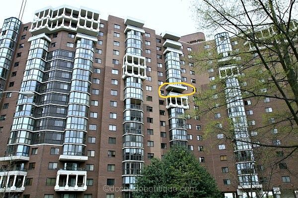 1st image of 1600 N Oak St APT 1201