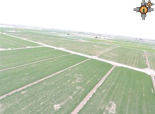 26 Nymeyer Rd, Loving, NM 88256