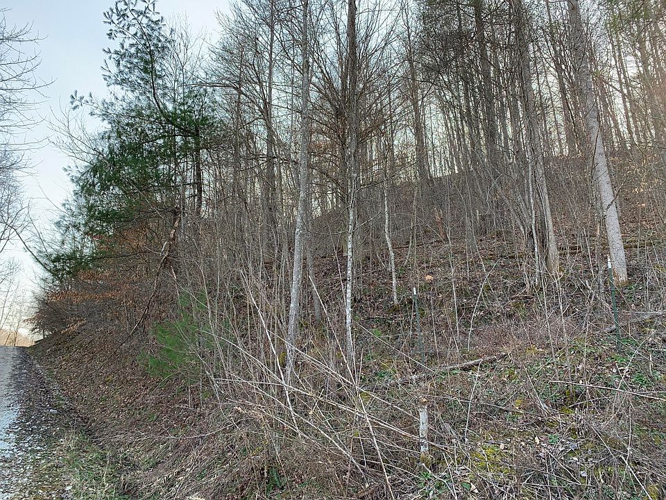 2nd image of 0 Greenbriar Branch Rd