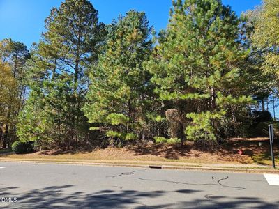 558 Chapel Ridge Dr Lot 79, Pittsboro, NC, 27312