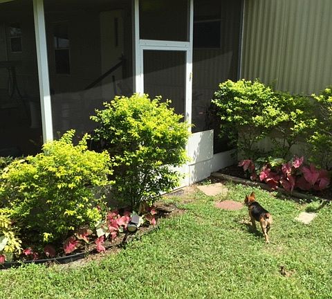 3rd image of 37 Leisure Ln