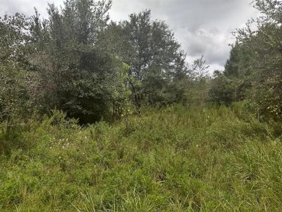 8613 N Garland Way, Citrus Springs, FL, 34434