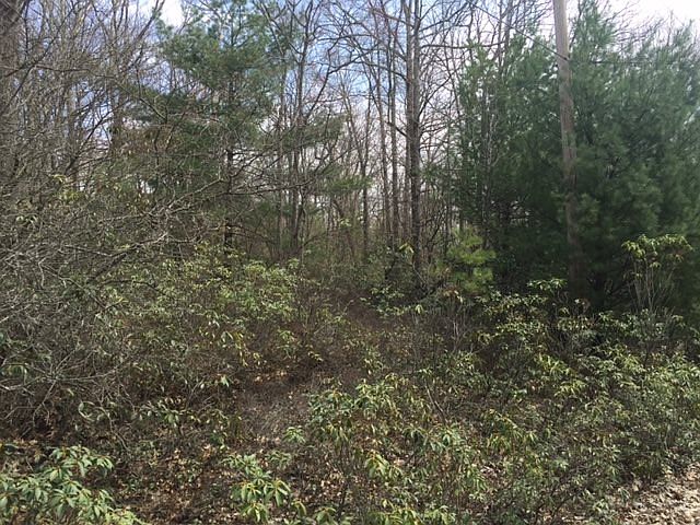 2nd image of 4 Split Rock Rd