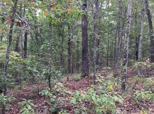 1234 County Road 39 #C, Ironton, MO 63650