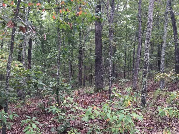 1234 County Road 39 #C, Ironton, MO 63650