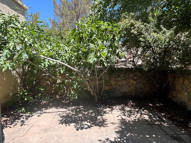 Large private patio with fig tree!