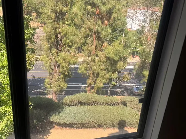 view north from living room