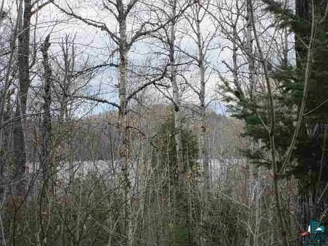 X141 N Caps Trl photo 1