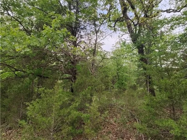 8 N Star Loop #3, Eureka Springs, AR 72631