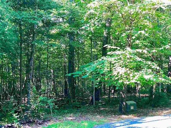 2nd image of 4 Arcadia Ln Lot 4