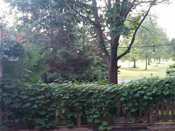 view from backyard