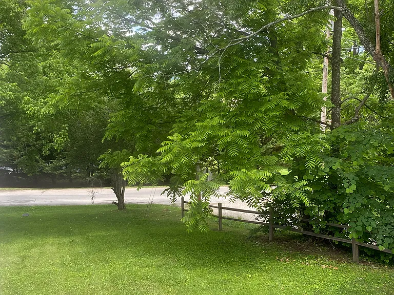 1293 Main St — Photo 34