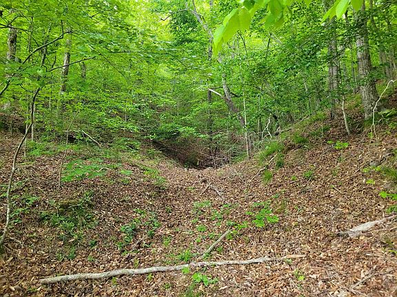2nd image of 77 Carroll Hollow Rd