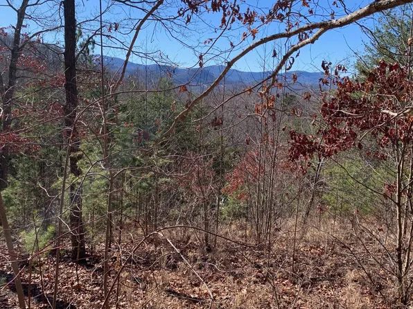 111 Four Seasons Lndg, Blairsville, GA 30512